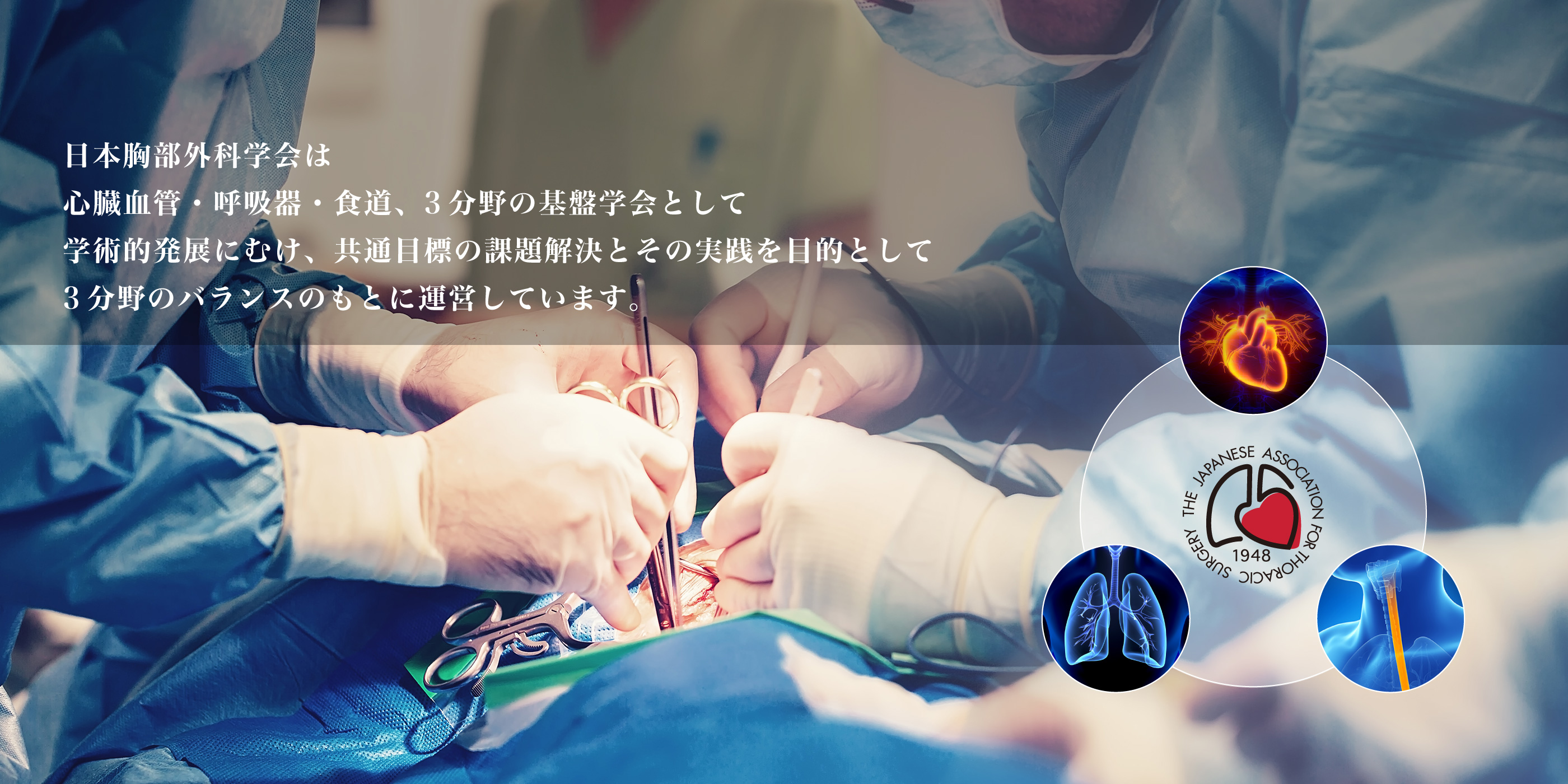 日本胸部外科学会